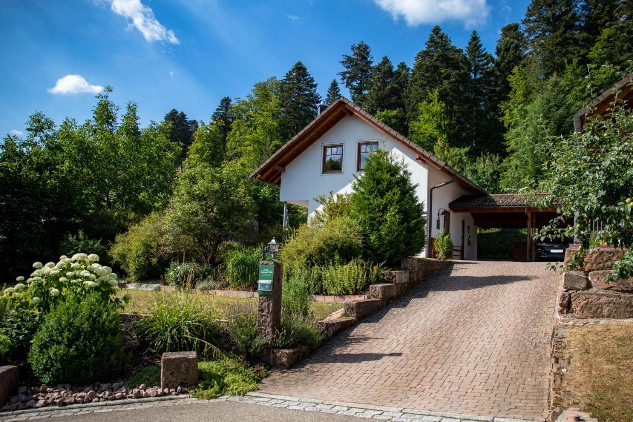Schwarzwald Chalets Freudenstadt Luaran gambar